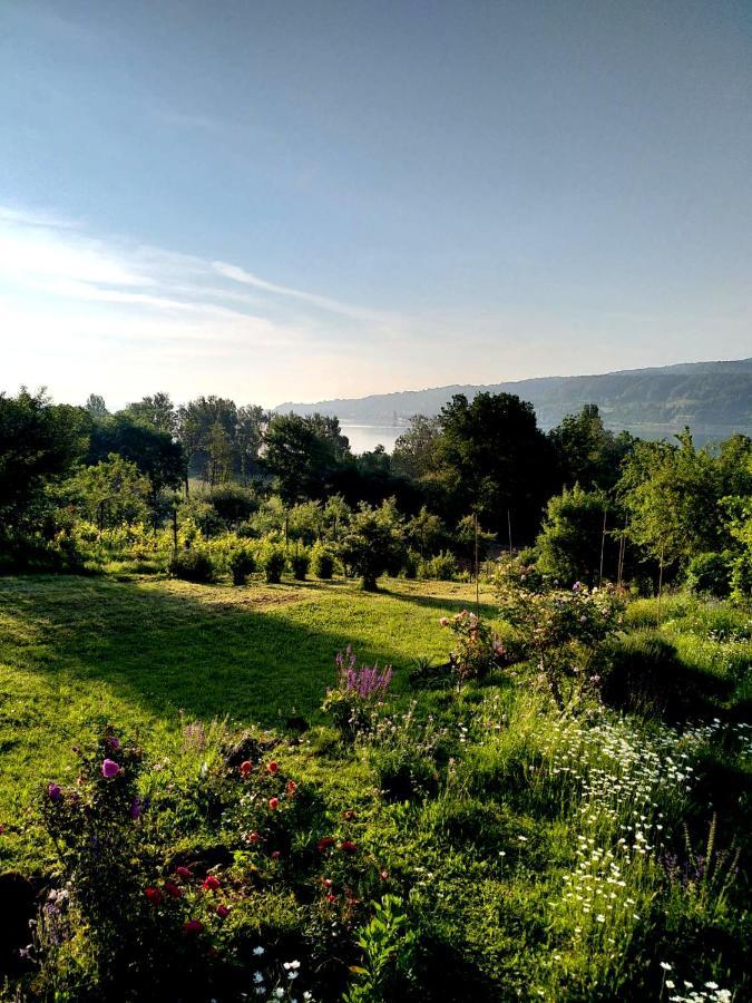 Seenah - Ihre Wohnung Am Bodensee / Untersee Gaienhofen  Exterior photo